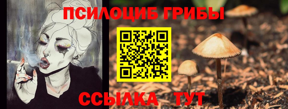 Белгород  Галлюциногенные грибы Psilocybine cubensis  Вход с VPN 