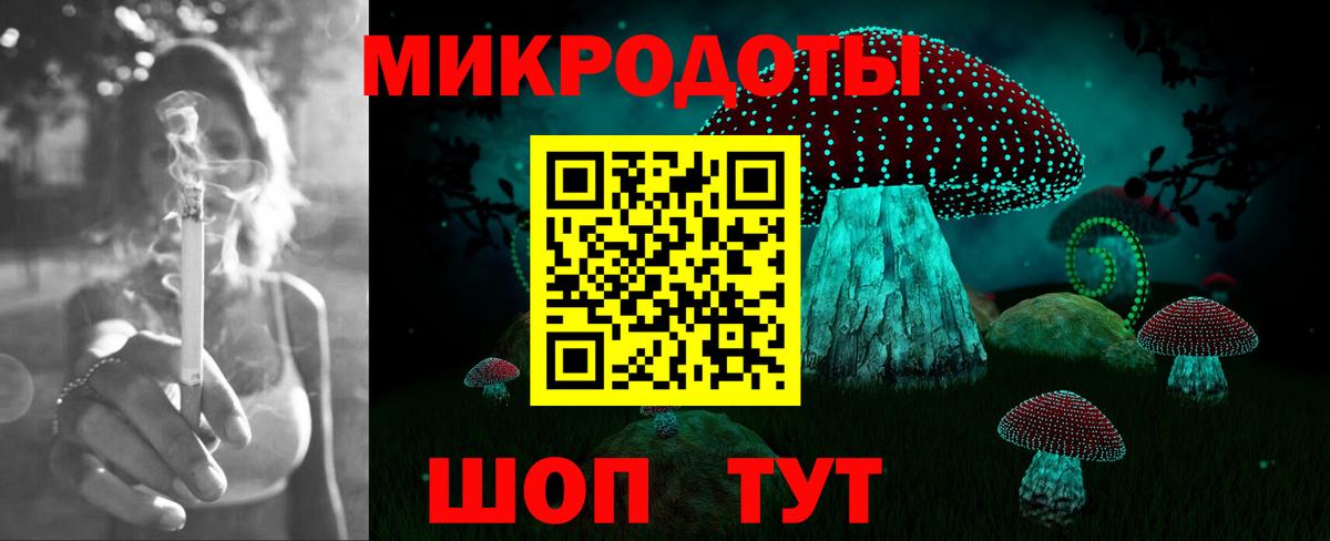 Галлюциногенные грибы MAGIC MUSHROOMS  Белгород  Псилоцибиновые грибы мицелий 